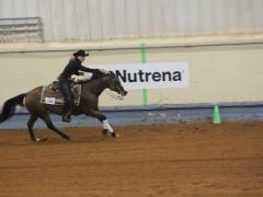 Judging Horse Events – Reining
