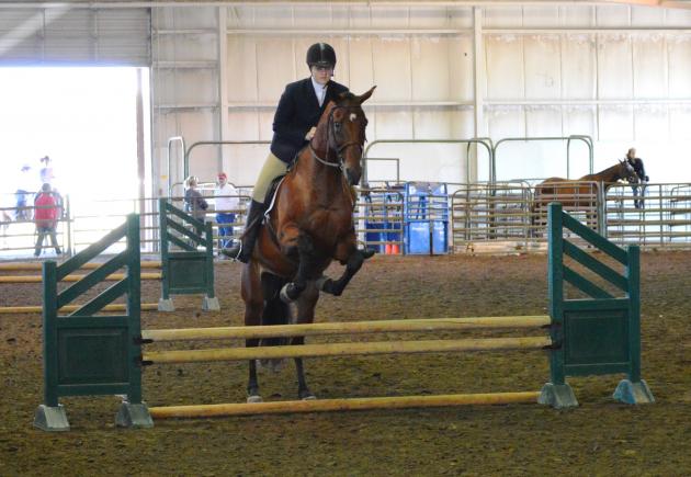 Judging Horse Events – Equitation over Fences