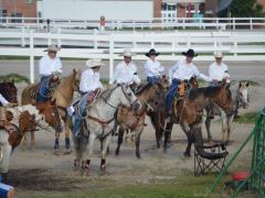 Judging Horse Events – Cattle Classes