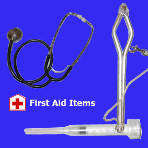 Basic first aid kit for horses