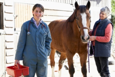 Zoonotic Diseases Affecting Horses and Humans
