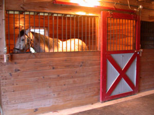 Equine Facilities: Stall Dimensions