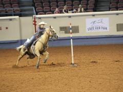 Judging Horse Events – Timed Event Classes
