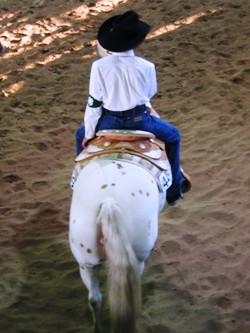 Competitive Western Horse Events