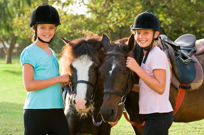 Horse Learning Lesson: Horse Adult Leader Training and Educational Resource