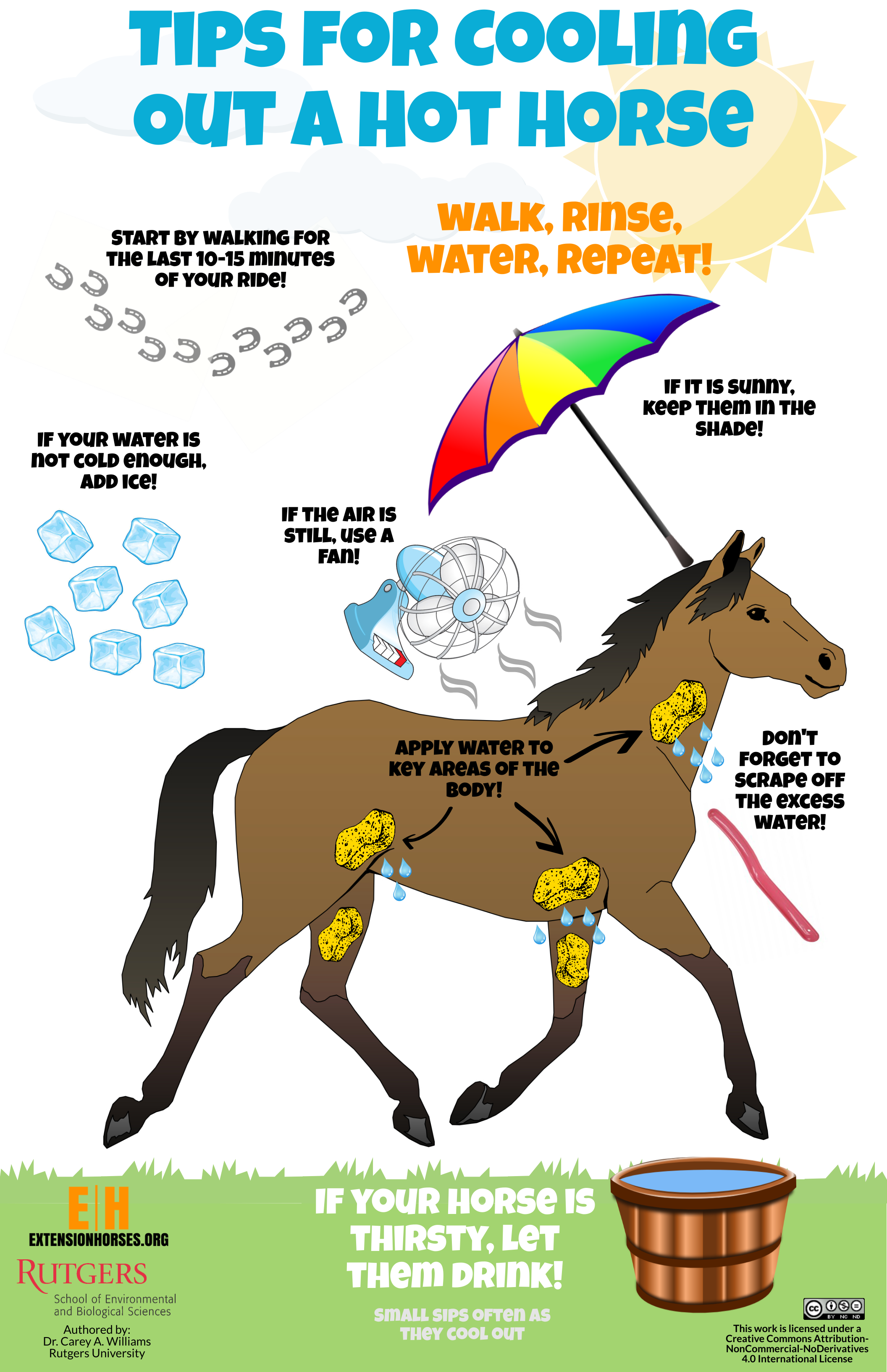 Tips for Cooling Out a Hot Horse