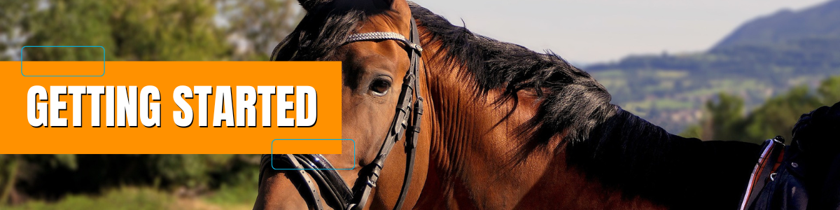 Extension Horse GETTING STARTED PAGE HEADER