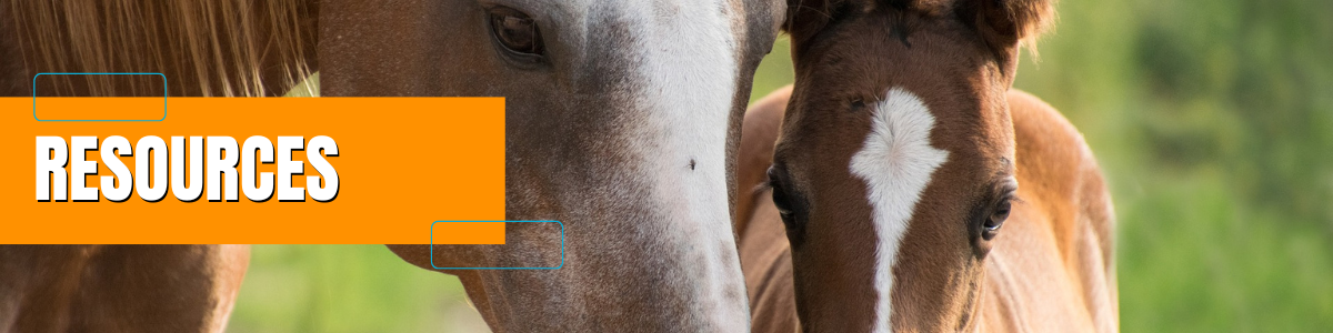 EXTENSION HORSE RESOURCES PAGE HEADER