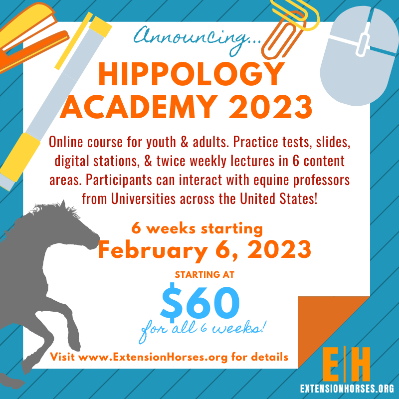 Hippology Academy