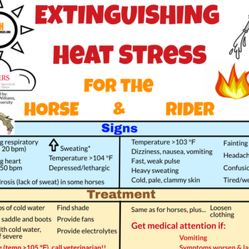 Extinguishing Heat Stress for the Horse and Rider