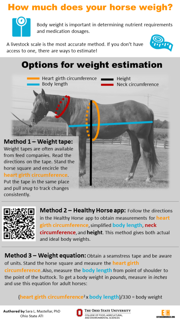 How Much Does Your Horse Weigh